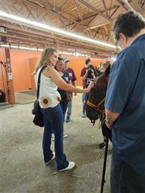 WRF 2025 Meadowlands--8